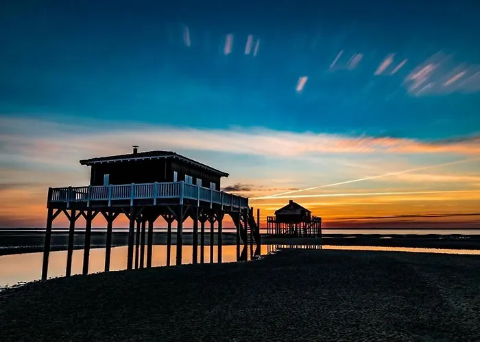 La Perle Du Bassin - Pereire - Appartement